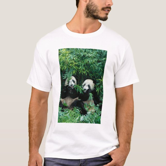 Två pandor som äter bambu tillsammans, Wolong Tee Shirt (Framsida)