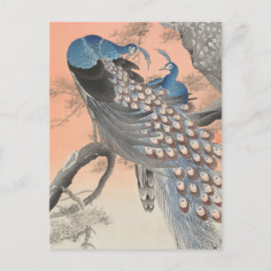 Två Peacocks på Träd Gren av Ohara Koson Vykort