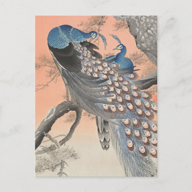 Två Peacocks på Träd Gren av Ohara Koson Vykort (Framsida)