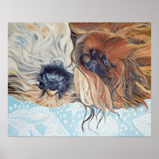 Två Pekingeser Hundar Poster (Framsidan)