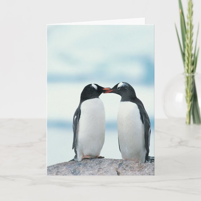 Två Penguins touchbeaks Kort (Framsida)