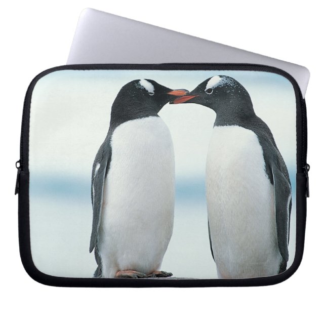 Två Penguins touchbeaks Laptop Fodral (Framsidan)