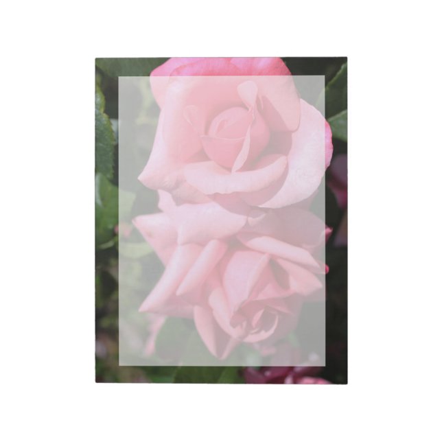 två perfekter blommor från shock rosa ro. kärlek anteckningsblock (Roterad)