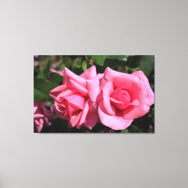 två perfekter blommor från shock rosa ro. kärlek canvastryck (Framsida)
