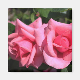 två perfekter blommor från shock rosa ro. kärlek magnet