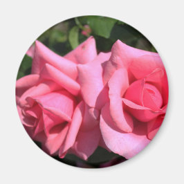 två perfekter blommor från shock rosa ro. kärlek magnet