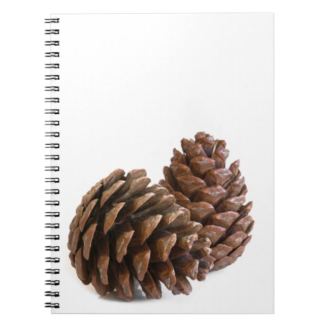 Två pinekon anteckningsbok (Framsidan)