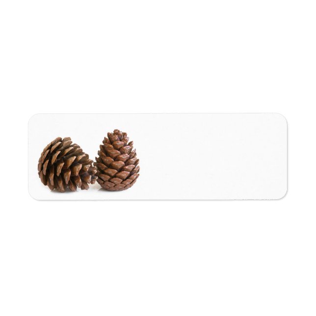 Två pinekon returadress etikett (Framsidan)