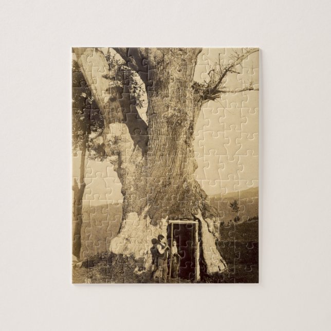 Två pojkar på dörröppningen av deras treehouse, pussel (Vertikal)