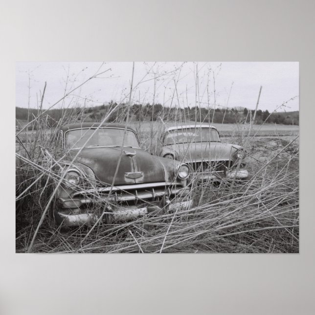 Två polacker som är där poster (Framsidan)