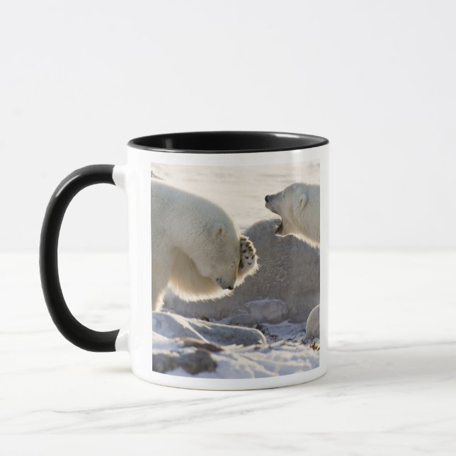 Två Polar Mugg (Vänster)