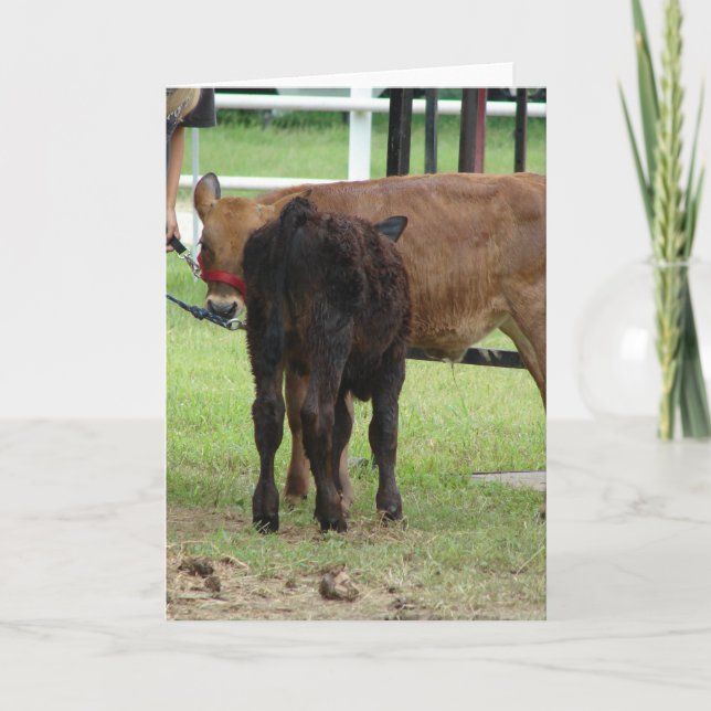 Två poster för nötköttsvisning kort (Framsida)