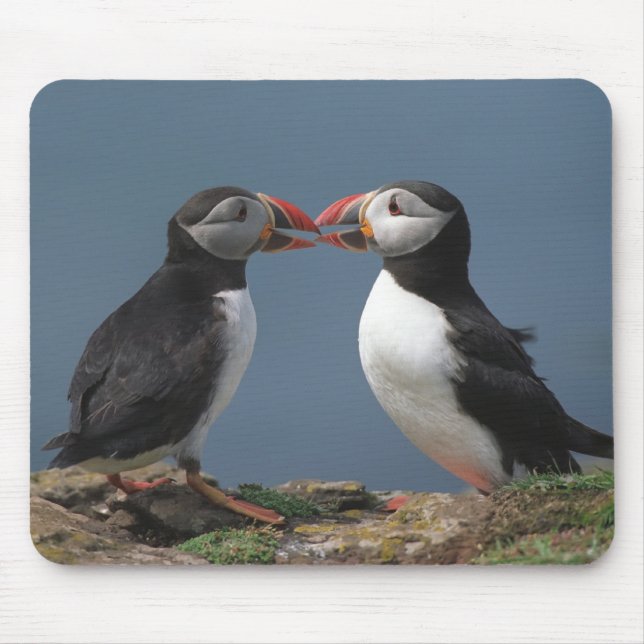 Två puffins musmatta (Framsidan)