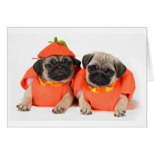 Två Pugs Hälsningskort