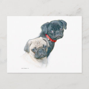 Två Pugs Vykort