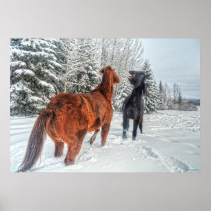 Två Ranch Horses-matcher i Winter Snö III Poster