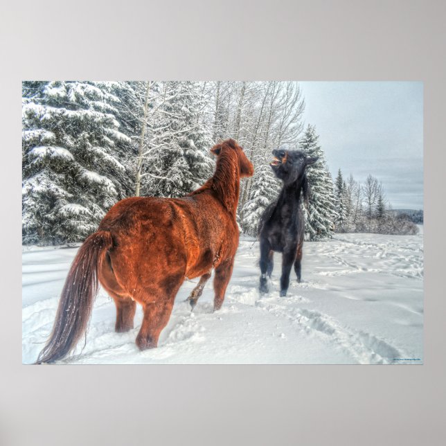 Två Ranch Horses-matcher i Winter Snö III Poster (Framsidan)