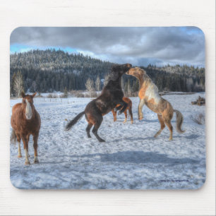 Två Ranch Horses-matcher i Winter Snö IV Musmatta