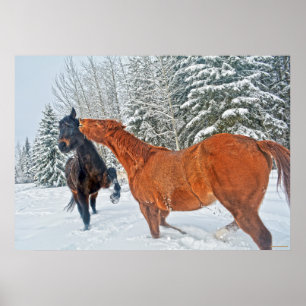 Två Ranch Horses-matcher i Winter Snö Poster