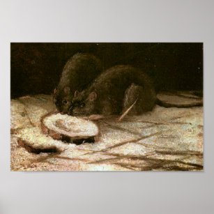 Två Råttor Van Gogh Fine Art Poster