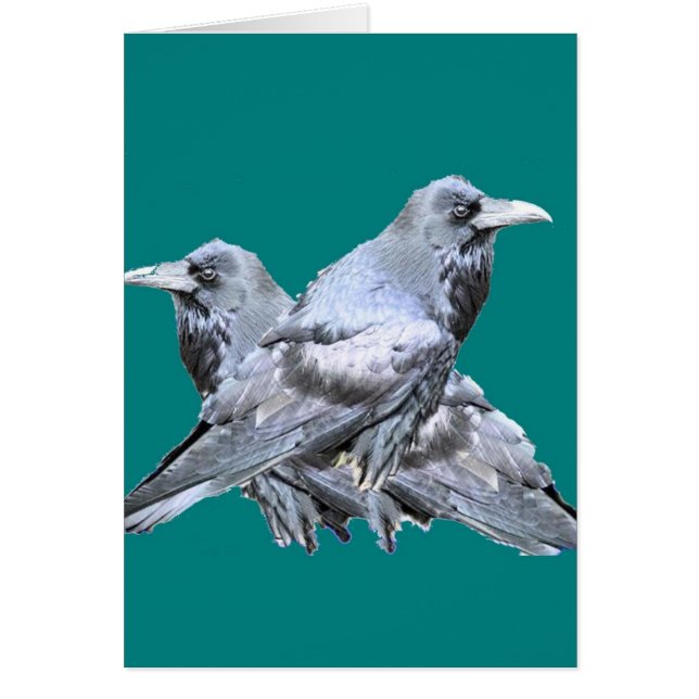 Två Ravens teal-gåvor Hälsningskort (Framsidan)