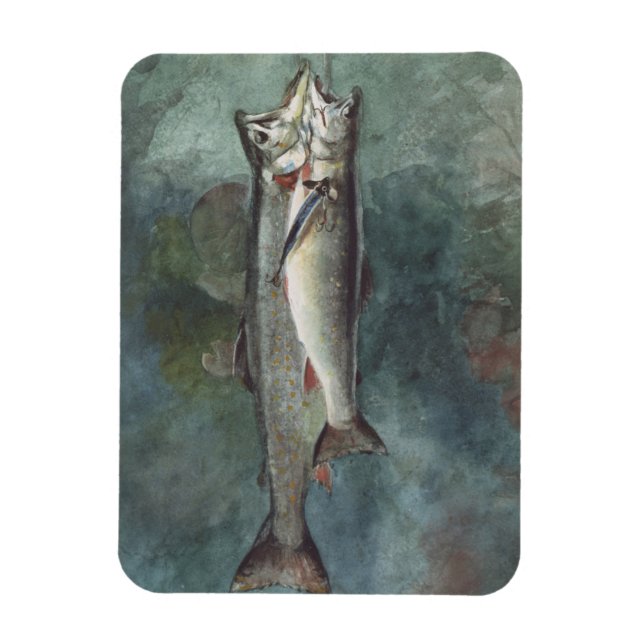 Två regnbåge magnet (Vertikal)