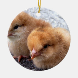 två rhode - rött chickfoto för ö julgransprydnad keramik