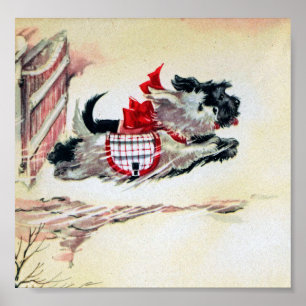 Två rinnande Scotties Poster