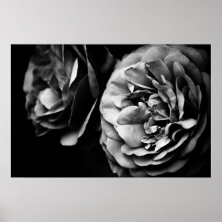 två ro poster