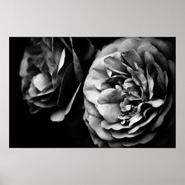 två ro poster (Framsidan)