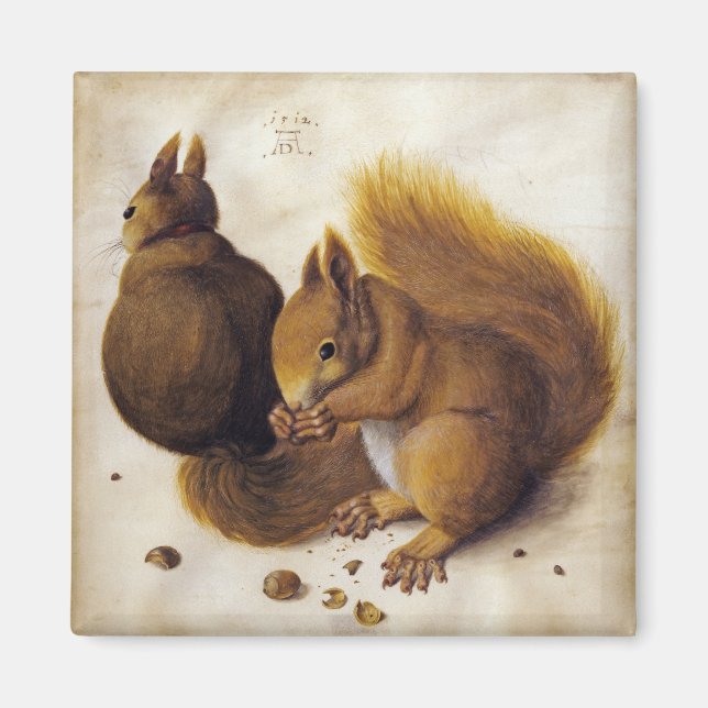 Två röda ekorrar (av Albrecht Dürer) Magnet (Framsidan)