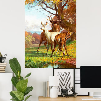 Två röda och vita hjortar i skogen poster
