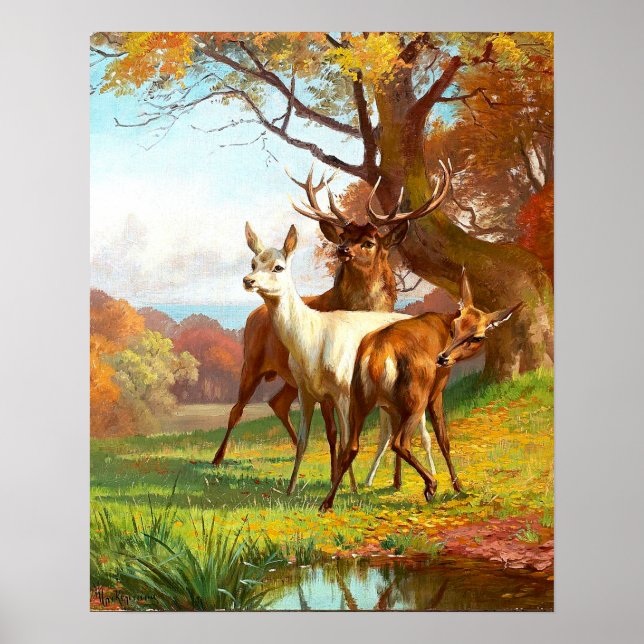Två röda och vita Hjortar i skogen Poster (Framsidan)