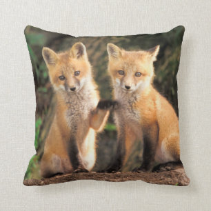 Två Röda rävsaxar Valper framför deras Den Kudde