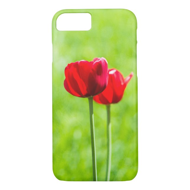 Två röda tulpanblommor Case-Mate iPhone skal (Baksida)