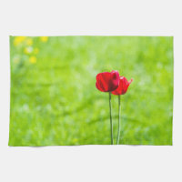 Två röda tulpanblommor