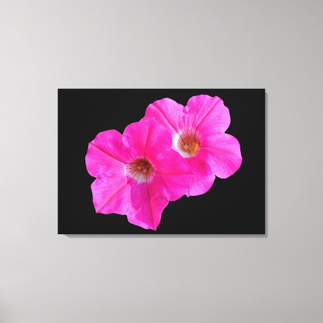 två rosa blommor i svart bakgrund. canvastryck (Framsida)