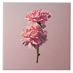 Två Rosa Carnation Kakelplatta
