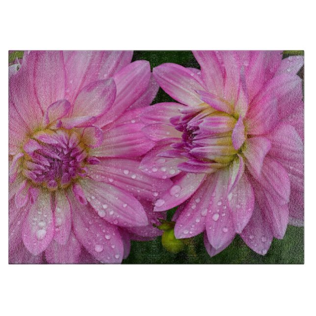 Två rosa dahlia-blommor (Framsidan)