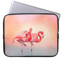 Två Rosa flamingos i vatten vid sunsetflamingo.