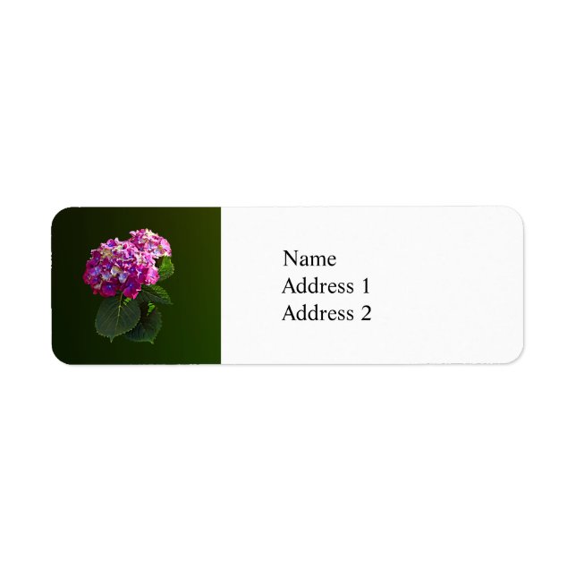 Två Rosa Hydrangea Returadress Etikett (Framsidan)