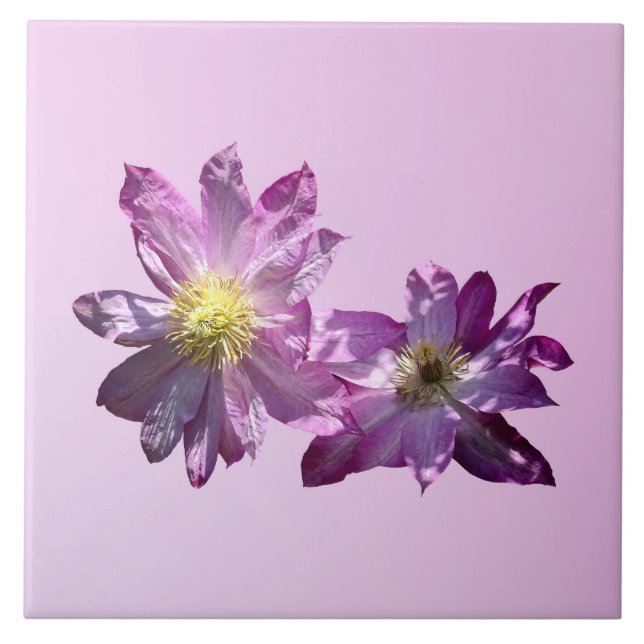 Två rosa klematis kakelplatta (Framsidan)