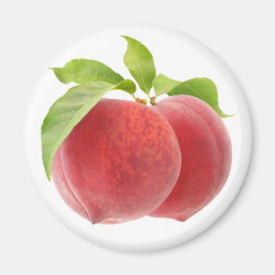 Två rosa persikor magnet