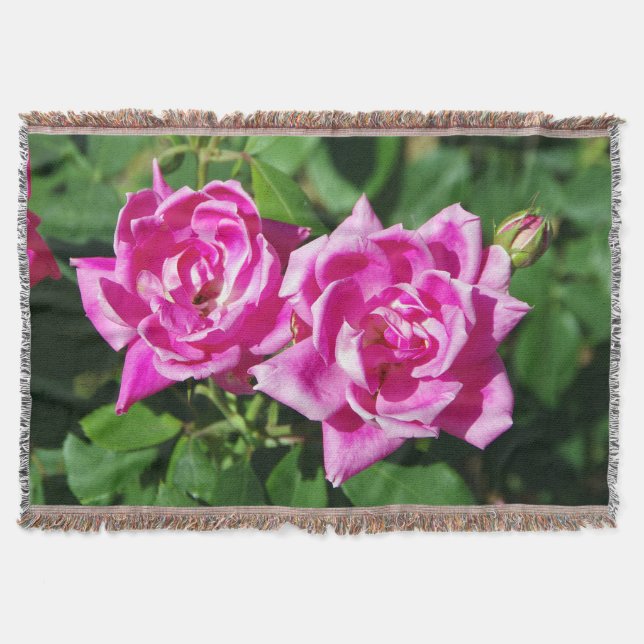 Två Rosa ros-filtar Filt (Framsidan)