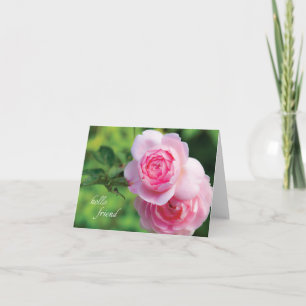 Två rosa ros, hejvän - notera kortet kort