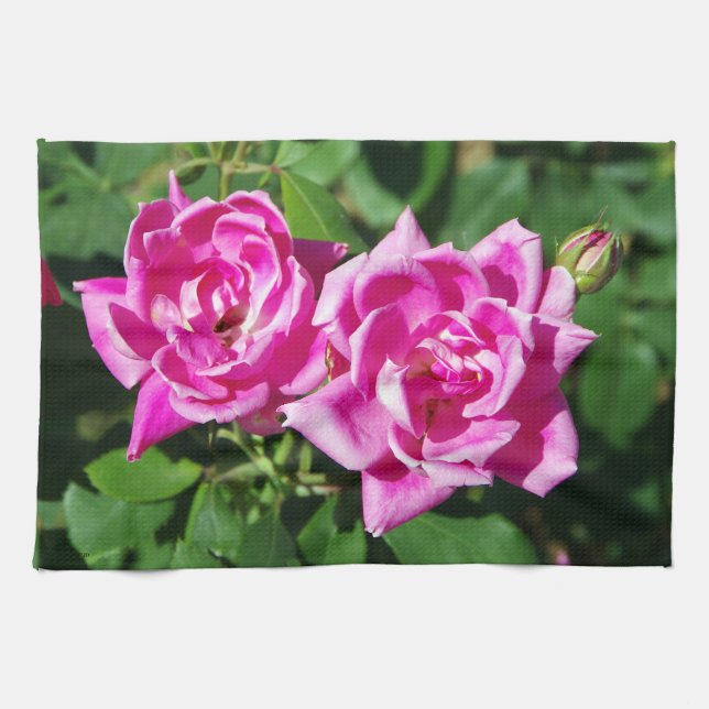 Två Rosa ros kökshanddukar (Horisontell)