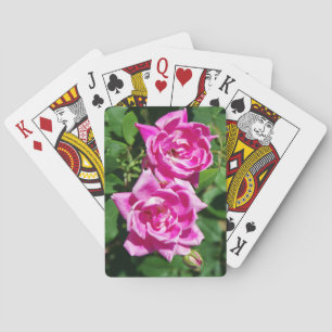 Två Rosa ros-kort Casinokort