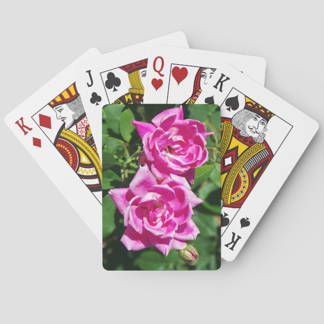 Två Rosa ros-kort Casinokort (Baksidan)