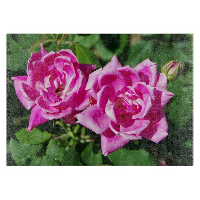 Två Rosa ros-skärmar (Framsidan)