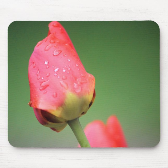 Två Rosa Tulips Mouse Pad Musmatta (Framsidan)